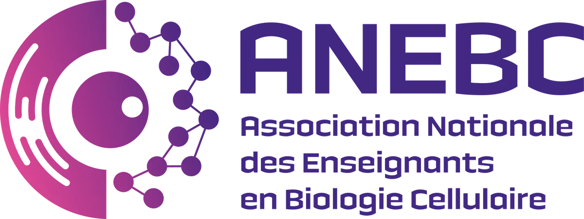 ANEBC