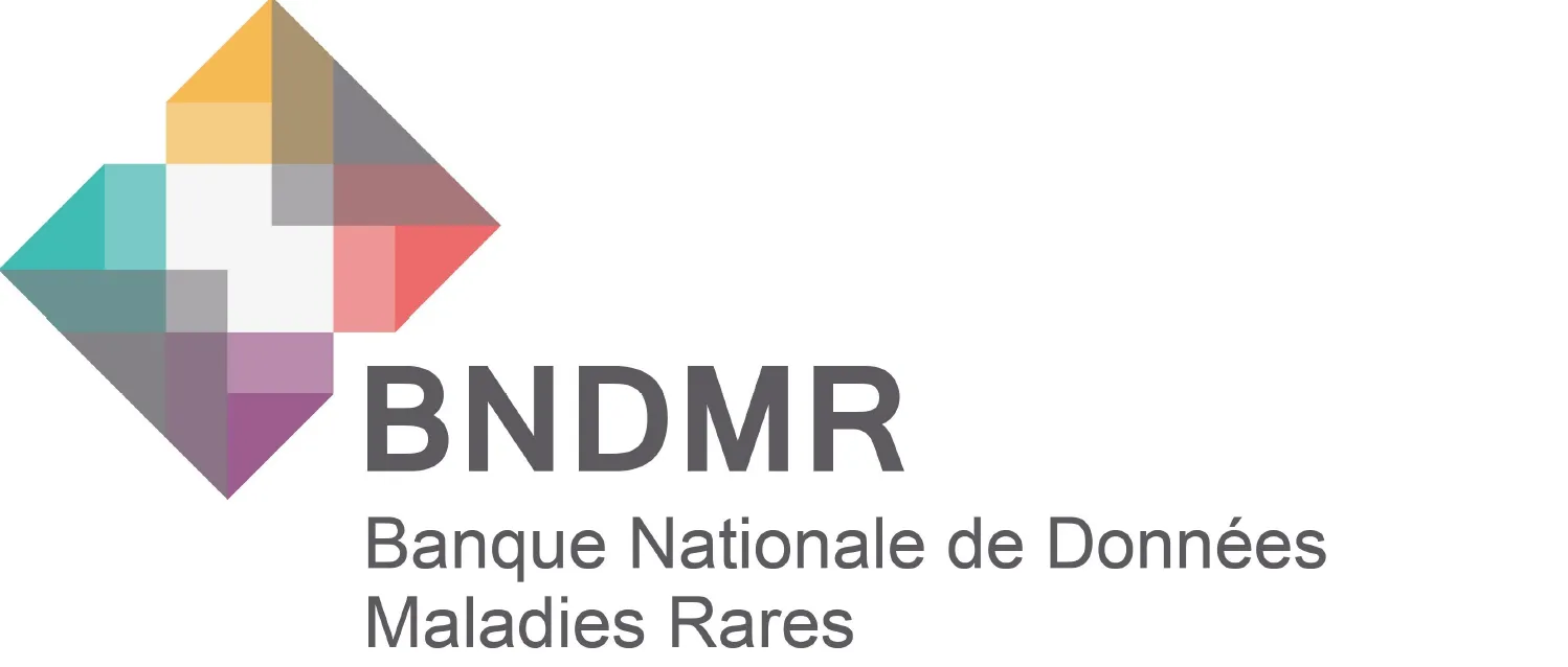 BNDMR_2025