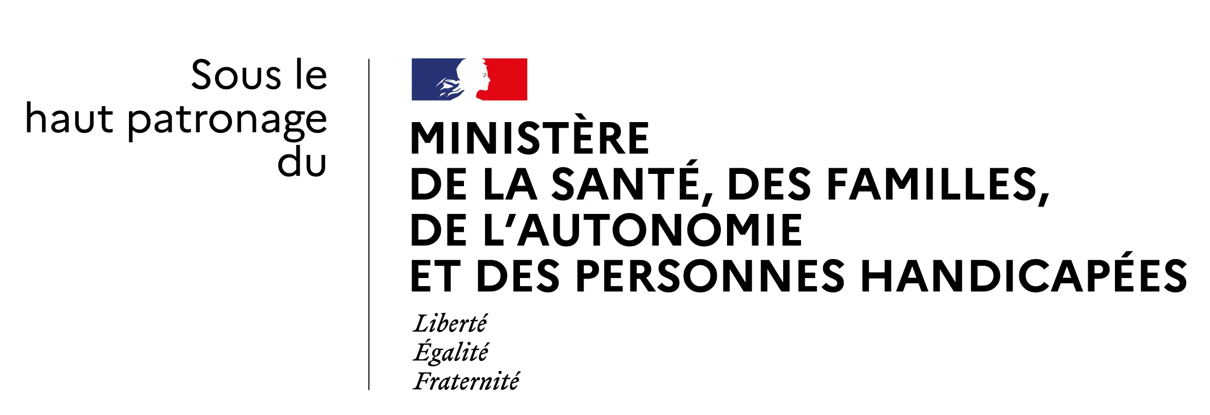 MSFAPH_Haut_patronage_Horizontal_RVB_recadré