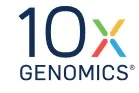 10x genomics