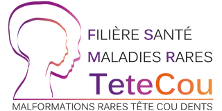 logo tetecou