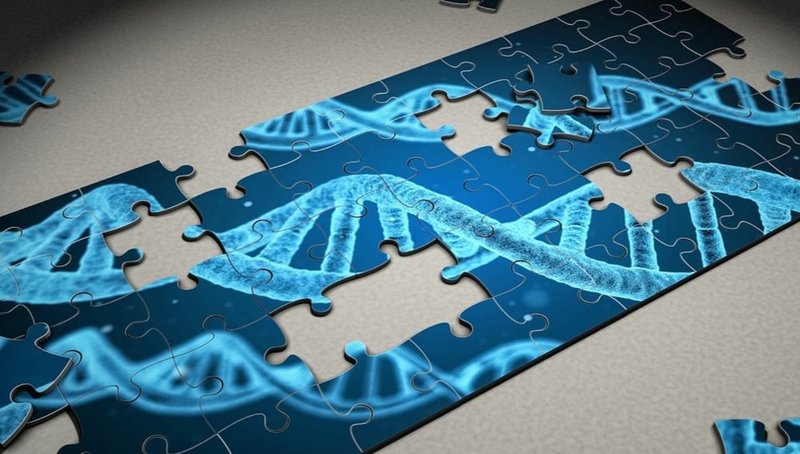 sfmpp-nl-1-dna-3