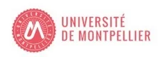 université montpellier